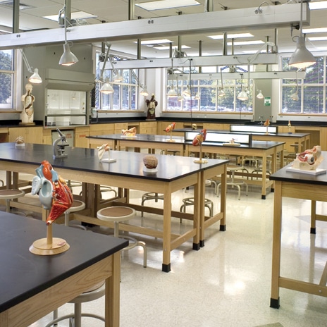Trends in sustainable laboratory design