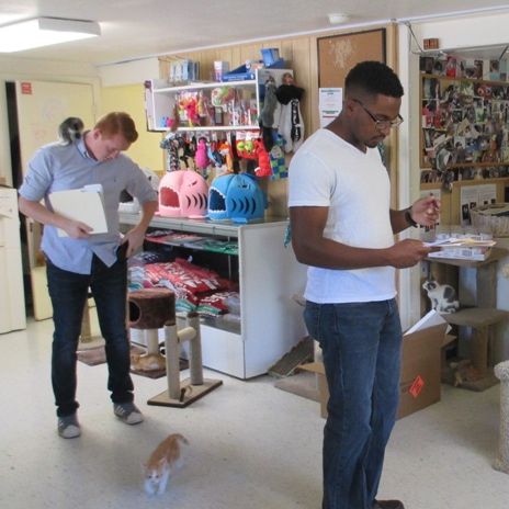 Summer interns begin pro bono architectural project